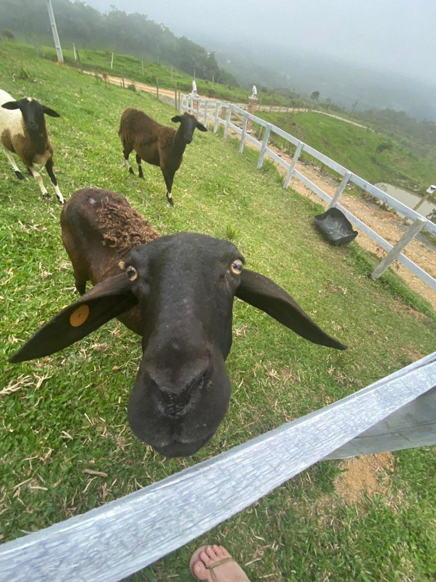 Вилла Rancho Sol Poente - Rancho Queimado - Sc Экстерьер фото