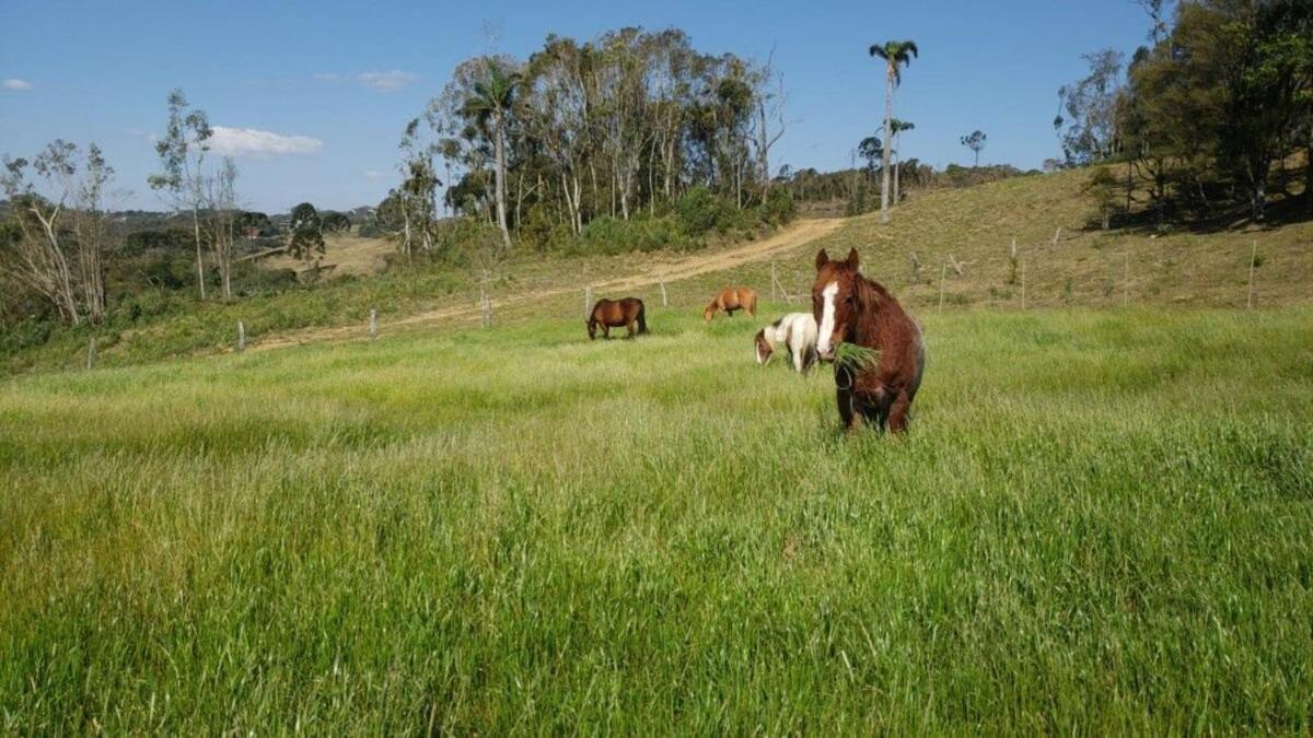 Вилла Rancho Sol Poente - Rancho Queimado - Sc Экстерьер фото